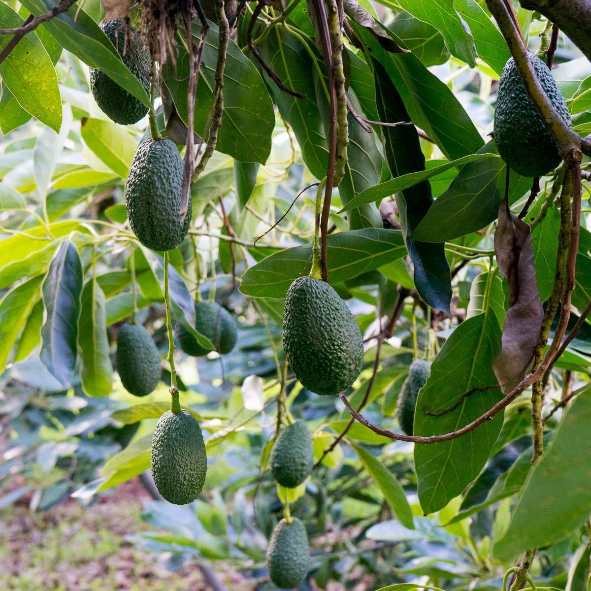 Produktbild 2