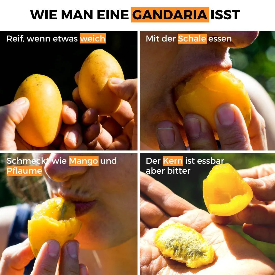 Produktbild 4