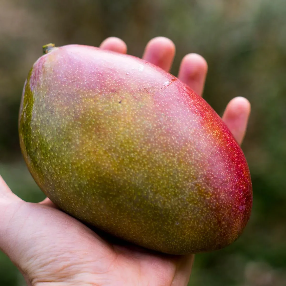 Produktbild 2