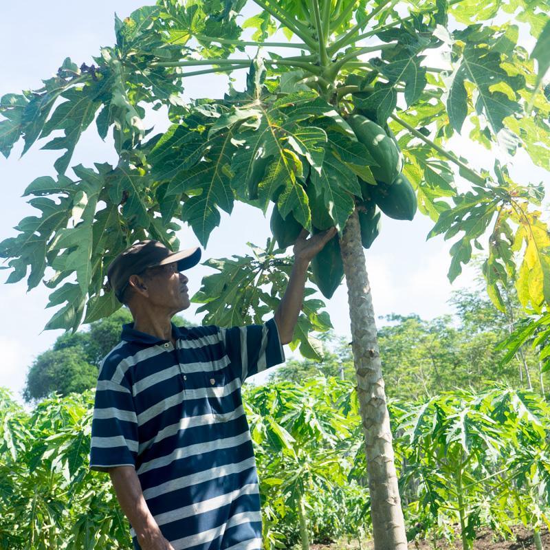 Produktbild 6