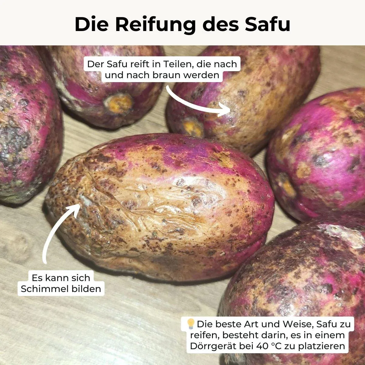 Produktbild 11